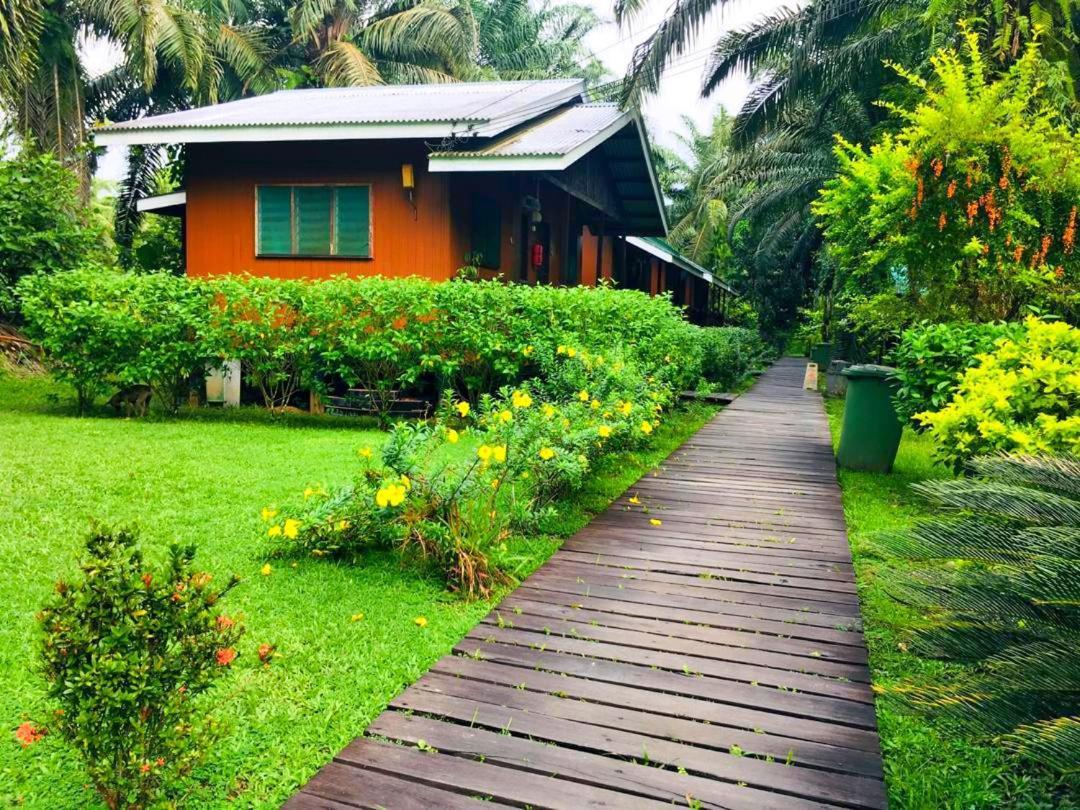 Sukau Backpackers B&B Luaran gambar